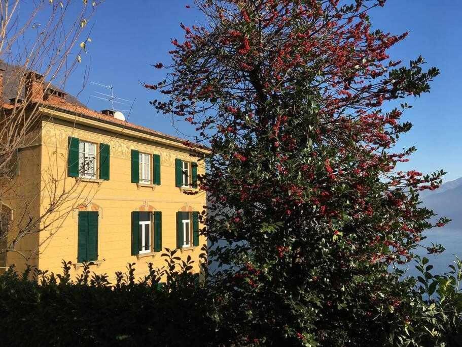 Villa Peroni Lake Como Classic With Swimming Pool Argegno Buitenkant foto